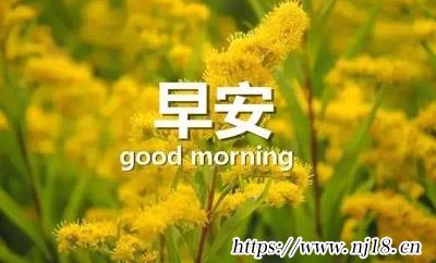 高情商早安問候方式簡單短語25句