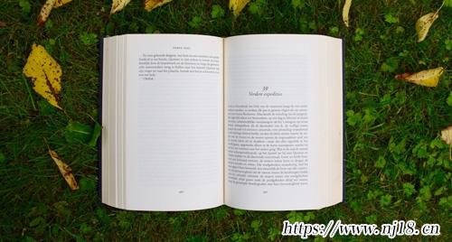 十大官場小說排行榜，康熙字典好看的官場小說推薦