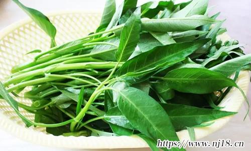 十大堿性食物排名