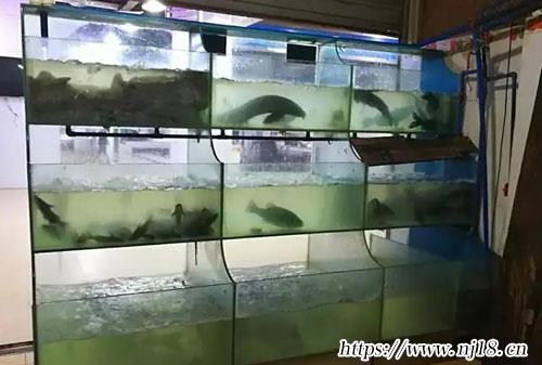 獨一無二的魚店名字大全260個