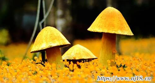兔年男孩取名字寓意好的字820個