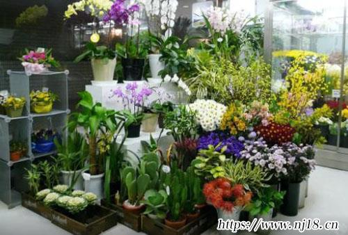 2022年最火的花店名800個