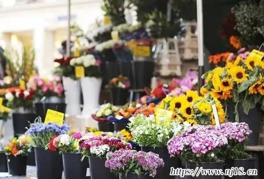 花店名字大全好聽花店2022年430個