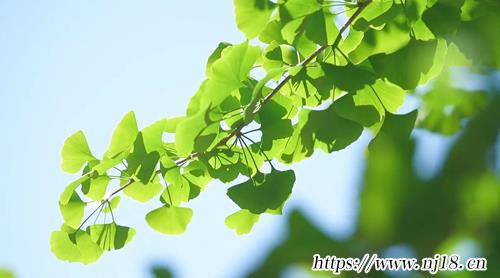 國學底蘊的名字820個