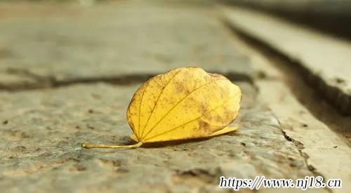 女生傷感昵稱大全590個