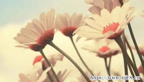 簡單大方的女孩名字990個
