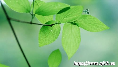 獨特搞笑的微信名字170個
