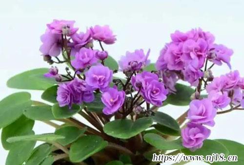 一個字獨特好聽名字1100個