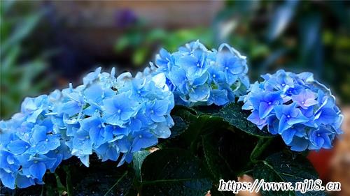 微信取個好名字大全430個