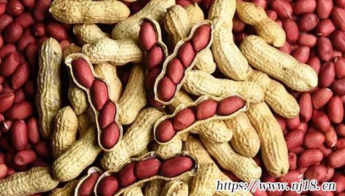 十大粗纖維食物排名
