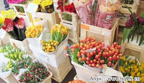 好聽的花店名字唯美浪漫取名690個