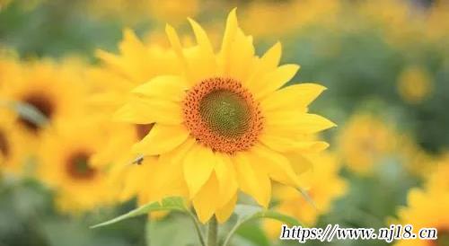 男孩名字寓意好的名字1500個