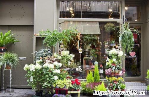 花店名字簡單大氣500個