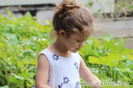 新生小寶寶起名大全，屬虎的寶寶好聽名字大全