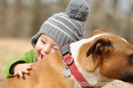 冷門又高級的男孩名字，清冷儒雅的男生名字大全