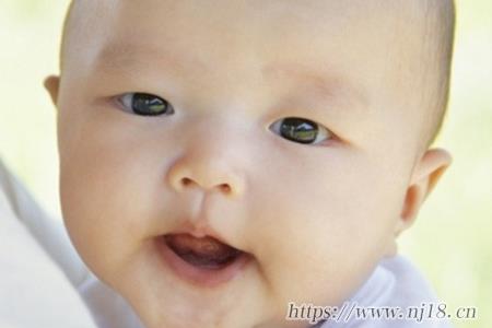 屬虎最吉利的小名，新生兒起乳名大全