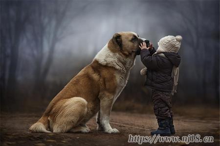 有山有水有肉的虎寶寶的名字大全