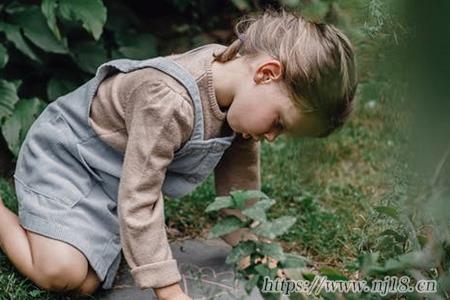 五行含有水木吉祥的寶寶名字