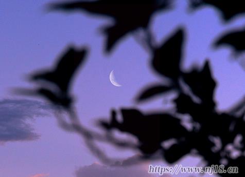 被拋棄的傷感網名大全 被不懂得珍惜的人拋棄的網名