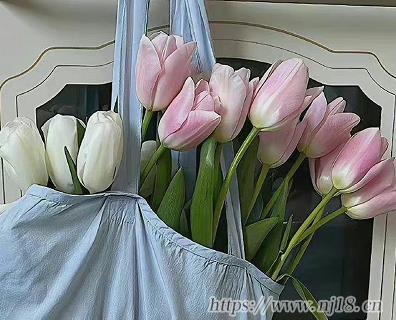 特殊氣質的女生網名很優質 氣質很獨特的女生昵稱