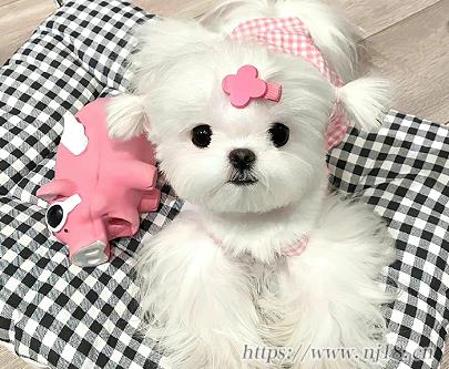 男人混社會的霸氣網名 社會男網名超拽霸氣