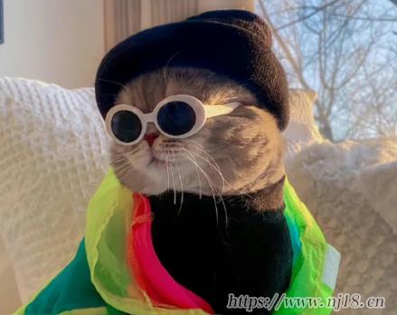 女性網名簡單文雅氣質四個字 女孩網名優雅大氣四個字