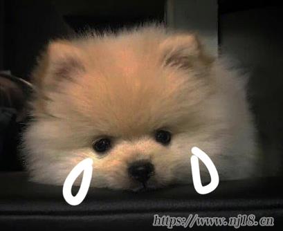 心涼到極致的昵稱 心涼到極點的網名