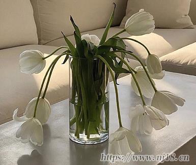 囂張跋扈的微信網名 霸氣狂傲囂張的網名