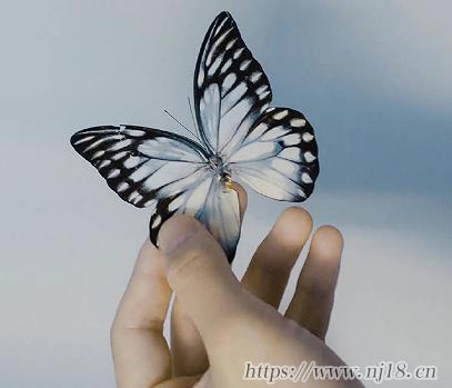 2023抑鬱id四字簡單 滿是遺憾的id抑鬱