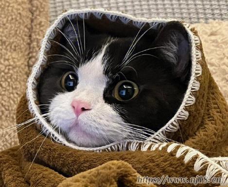 溫柔到讓人心疼的網名 深情又好聽的網名