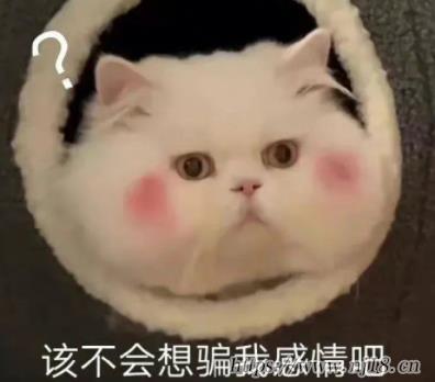 高質量的沙雕宿舍群網名 2023最新歡樂的群昵稱