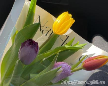 四個字中年人網名大全微信最新 2023適合中年人的氣質微信昵稱