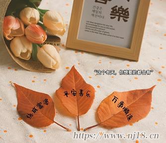 高雅脫俗的微信網名 眼前一亮而又脫俗的網名