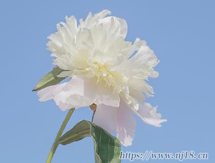 孤獨感爆棚的網名抑鬱 比孤獨還孤獨的網名