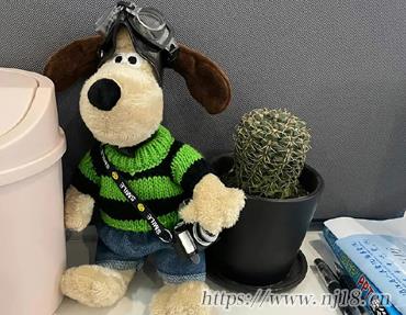 幹練很精神的男生網名 有活力有朝氣的網名男