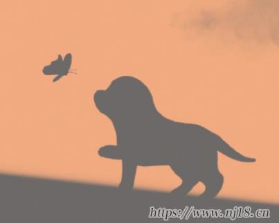 崩潰時給你溫暖的網名 一看就很暖的昵稱