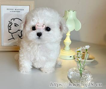 2023最新古風微信網名 古風古韻的微信昵稱