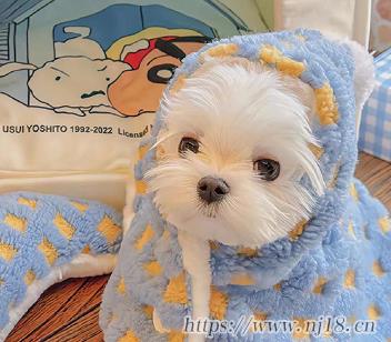 浪漫感十足的昵稱最新版 最新版絕絕子的好聽網名