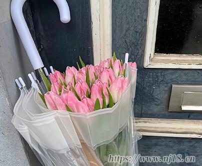 好聽的女生網名很個性 特別有氣質的低調昵稱