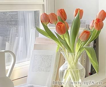 容易上熱門的網名最新 2023漲粉網名最新