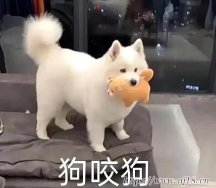 大學生最愛的奇奇怪怪的網名 有個性的好笑網名簡短