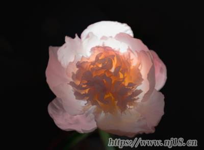 又喪又高級的網名最新 高端喪的簡單網名