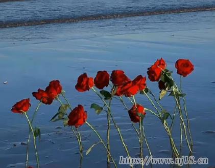 2023特別的最新版網名 創意滿滿的昵稱