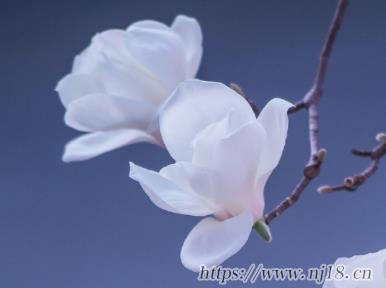 充滿著生活氣息的網名 生活悠閑簡單的網名