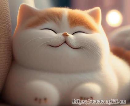 熱愛生活的網名積極向上 快樂積極向上的昵稱