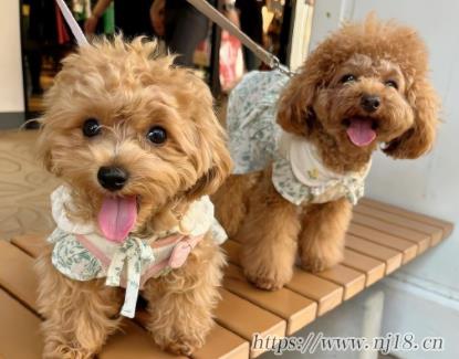 隱藏愛意的微信網名 暗含深意的昵稱最新