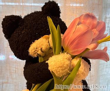 高質量有深意的網名 難懂又有深意的昵稱