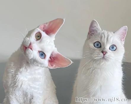 男生超撩人的網名大全 最新版超吸睛的昵稱