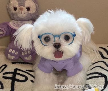 很順心的好聽微信網名 很流行的順心昵稱