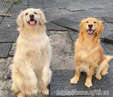 讓你感觸很深的網名 令人印象深刻的昵稱